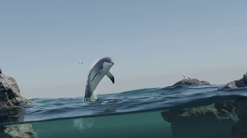 Dolphin: Blender + Flip Fluid
