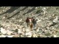 A short walk in Zanskar - part 3 *(final)