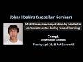 Chang Li: Computation by cerebellar cortex astrocytes during reward learning