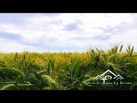 EstudioMiércoles 30 de Mayo 2018. john macarthur commentary