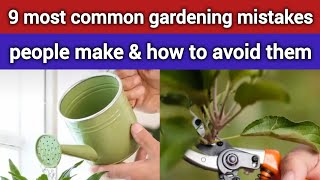 9 beginner gardening mistakes to avoid