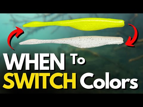 best fishing pole for bluegill Fly Fishing for Bluegills