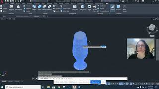 Shell Tool - AutoCAD