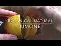 Лосьон из Лимона натуральный в косметических целях