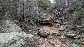 End of Boynton Canyon to Mescal Trailhead Parking TimeWarp and Photos 2 24 24