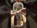 🍃 How to Propagate Succulents from Leaves: Easy Step-by-Step