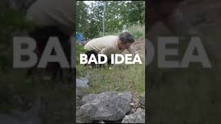 Download Lagu This Went Bad Fast MP3