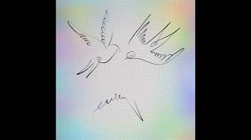 Continuous line drawing time lapse of Birds #shorts