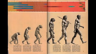 Ape-Men Frauds? Pt. 2