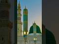 #viralvideo #naatsharif #love #beautiful #youtubeshorts #islamicsong