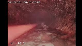 230462.1