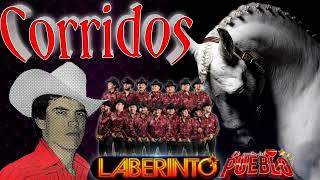 Corridos Chingones ✷puras perronasChalino Sánchez Grupo Laberinto
