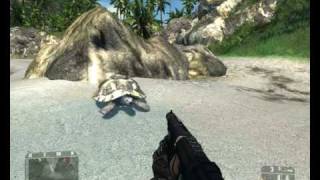 Turtle in Crysis