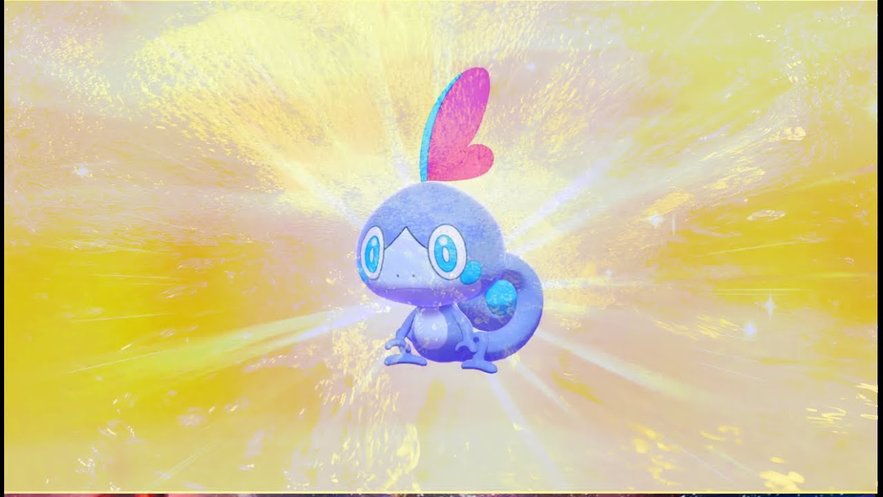 Shiny Sobble (with Torrent...) found at long last!