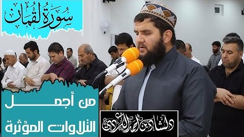 سورة لقمان كاملة💚 القارئ دلشاد احمد🌹🌹سبحان من رزق هذا الصوت ❤