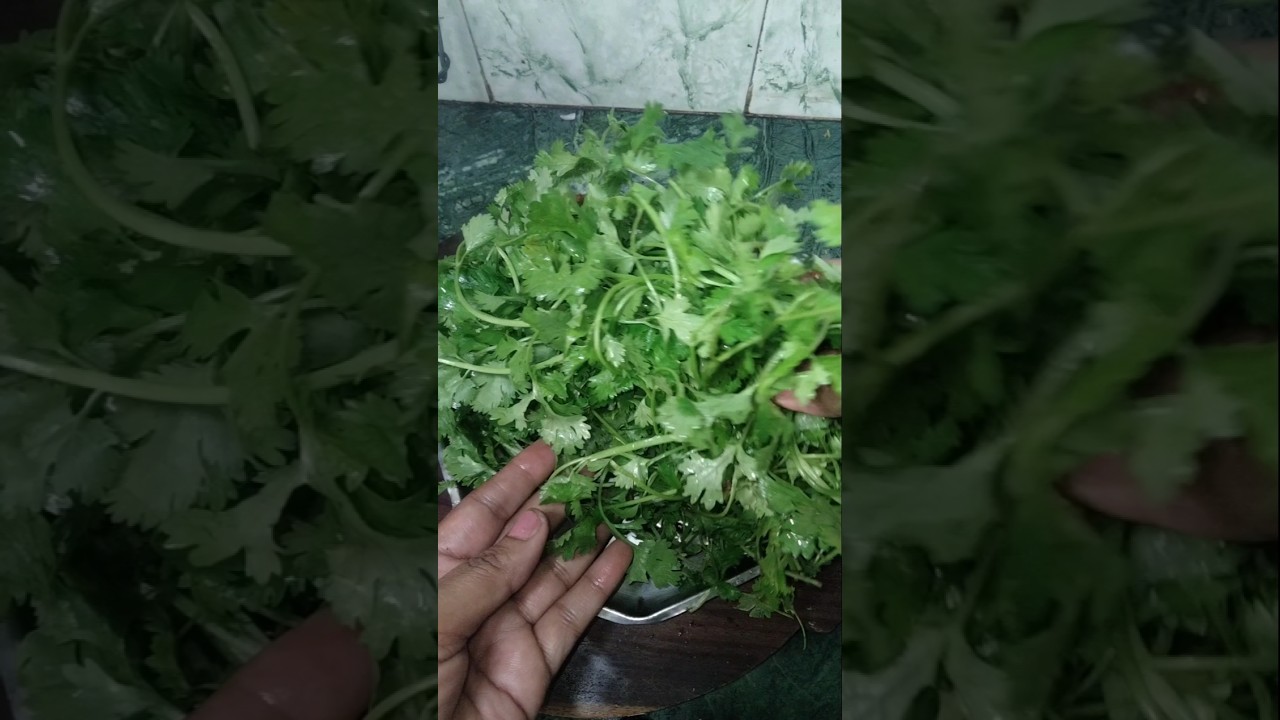 Hare Dhaniya ki Sabji #Hare Dhaniye ki Sabji Kaise Banaye |Coriander Recipes