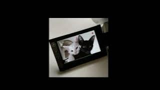 PARTYNEXTDOOR • Zayskii  - Dreamin