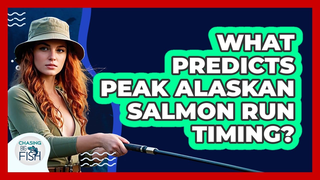 What Predicts Peak Alaskan Salmon Run Timing? - Chasing Big Fish