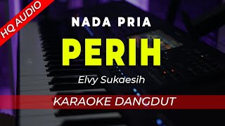 PERIH || KARAOKE || ELVY SUKAESIH || DANGDUT || NADA PRIA / COWOK - HQ AUDIO