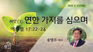 2020531'연한 가지를 심으며'(에스겔 17:22-24) 송병주 목사