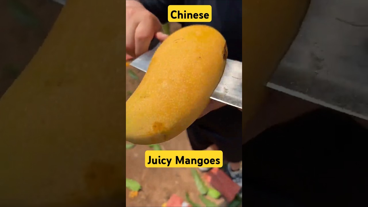 Chinese juicy mangoes 