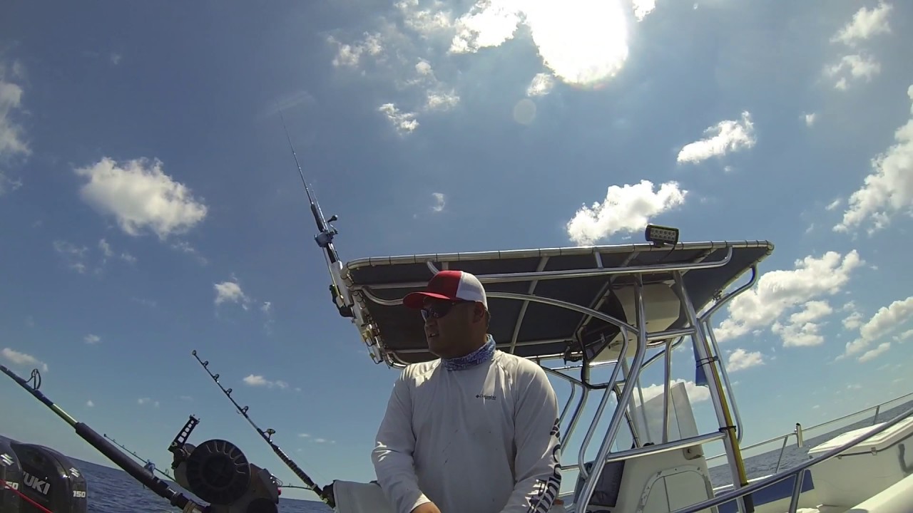 Deep Drop Groupers + Barrel FIsh ! Surfside TEXAS !! YouTube