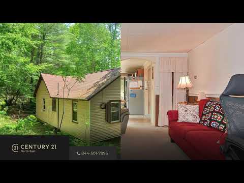 4200 River Road, Bristol, NH home video tour