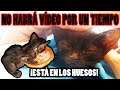 RESCATAMOS a TAIL | LA PRIMERA VEZ QUE LO VI ❤️