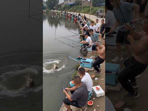 #大魚 #钓鱼 #carpfishing #野钓 #撈底 ##户外钓鱼 #fish #bassfishing  #钓鱼佬 #fishing thumbnail