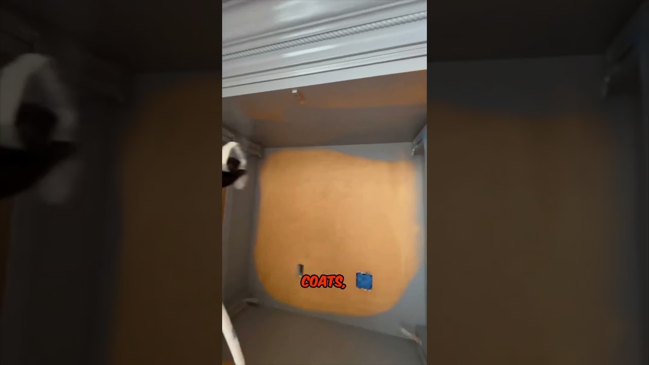 Should you tint your primer before painting?🤔