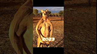 2023 Kangaroo Vs 5000 Bce Kangaroo