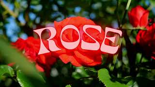Ademir - Rose (Official Audio)