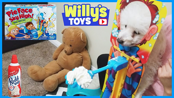 Pie Face Sky High Game Toy Review - Family Fun with Dog Getting Pied - Willy's Toys