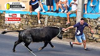 Tourada à corda em Santa Luzia, 11 de setembro de 2026