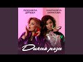 Дикая роза Дикая роза