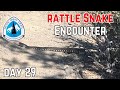 Day 29  my rattle snake  encounter  pacific crest trail thru hike