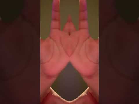 I Tried Otaku Anime Metal Bass 