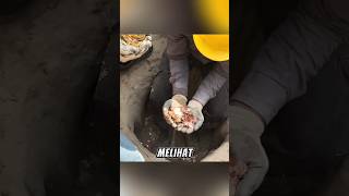 Download Lagu penemuan harta karun di dalam tanah yang terkubur #shorts MP3