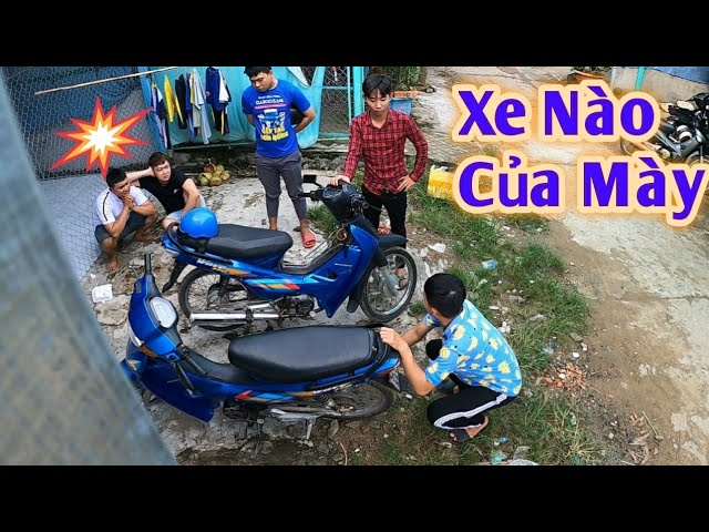 Vò Đầu Bứt Tóc Với Màng Troll Của Nguyễn Hải