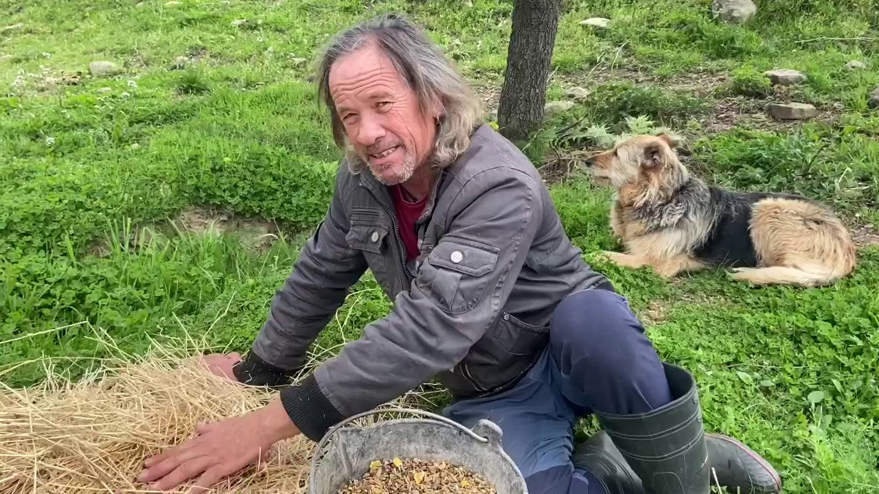 ¿Cuál es la alimentación de los caballos?