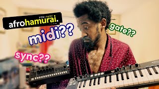 Famous Syncing gear with MIDI - A quick mini-MIDI guide! Wealth