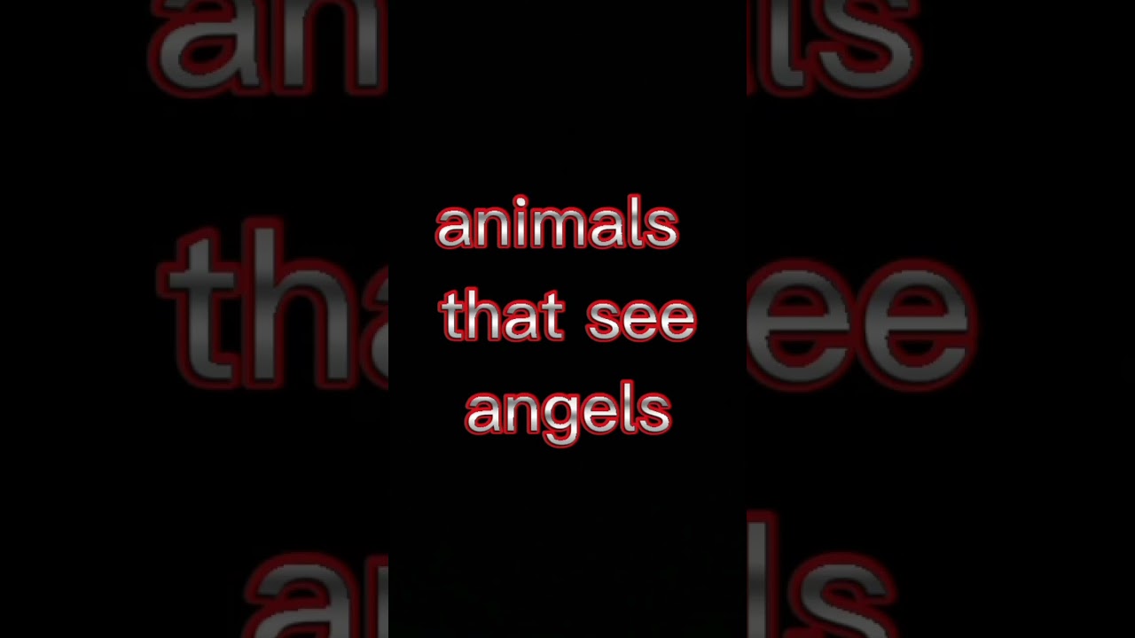 animals that see angels