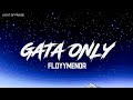 FloyyMenor - GATA ONLY (lyrics)