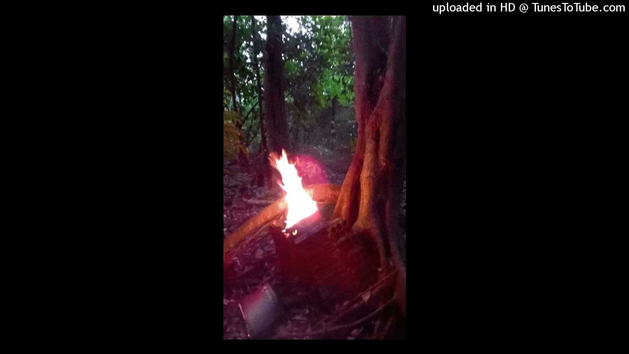 Lunatic Soul (cover) - Lunatic Soul