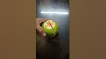 Guava