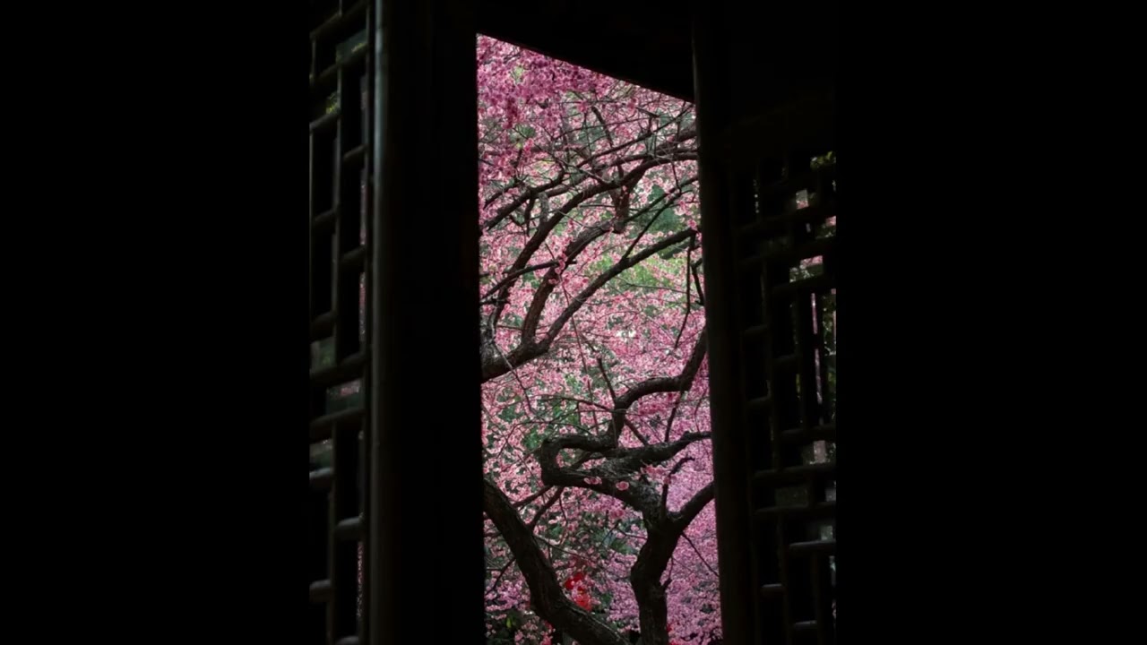 RAUW ALEJANDRO x TAINY TYPE BEAT - "SIN DESTINO"