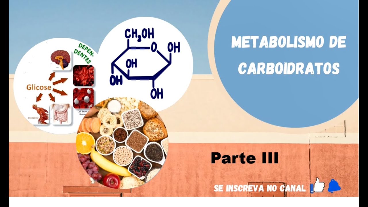Metabolismo de Carboidratos #3 - Fermentações (reedição)