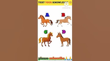 Memory Test || Riddles And Puzzles For Iq Test || part|030|#shorts #iqtest #shortsfeed