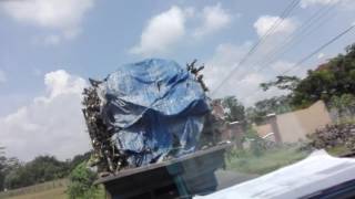 Balapan truck cabe salam 1 aspal