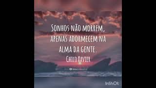 Frases De Chico Xavier E Conselhos amor espiritualidade f motivao